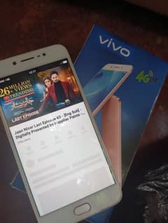 Vivo