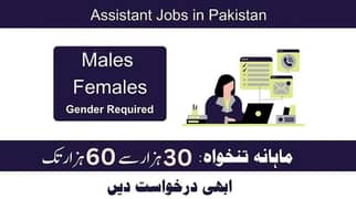 Female staff required for our company