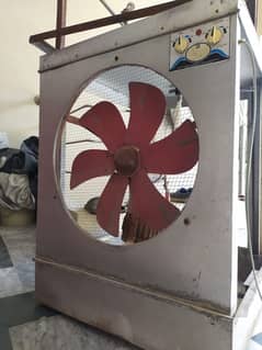 Fan