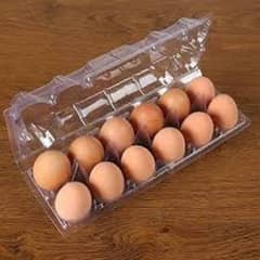 disposable eggs trays 6 whole and 12 whole