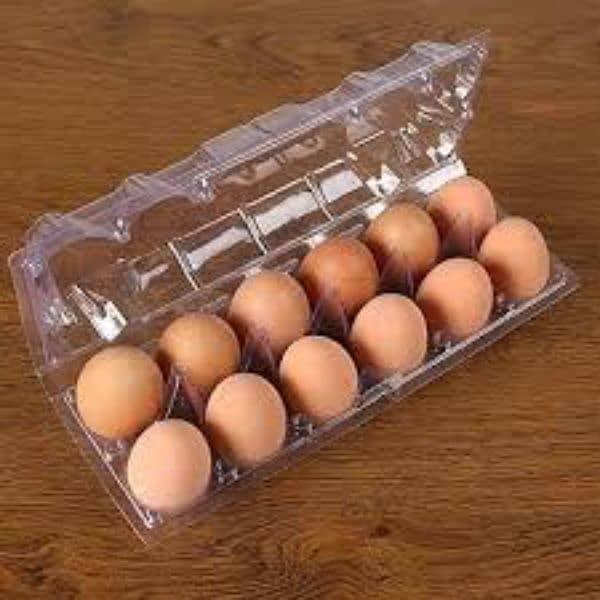 disposable eggs trays 6 whole and 12 whole 0