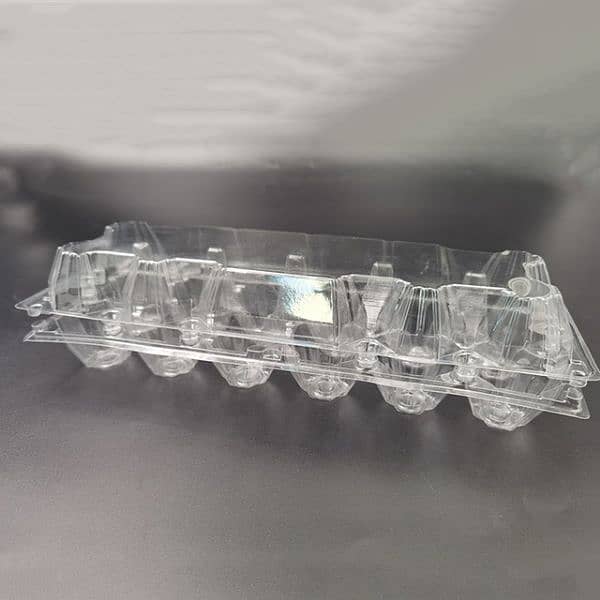 disposable eggs trays 6 whole and 12 whole 1