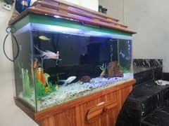 Aquarium For Sale