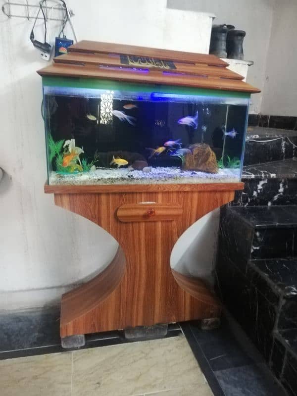 Aquarium For Sale 1