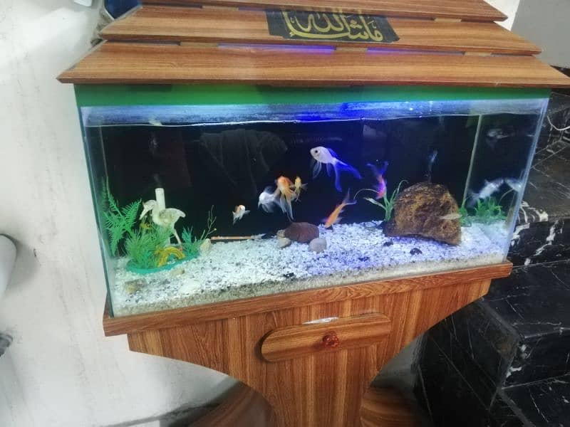 Aquarium For Sale 2