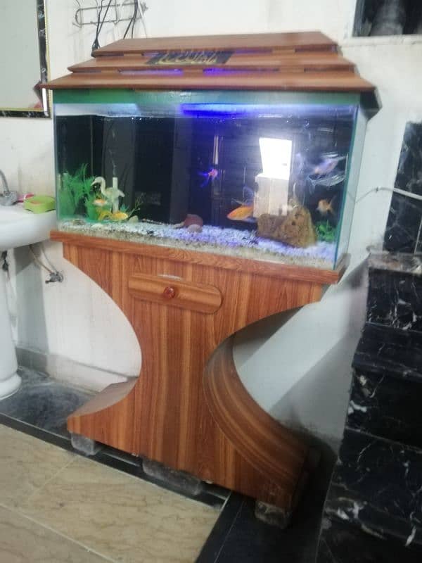 Aquarium For Sale 3