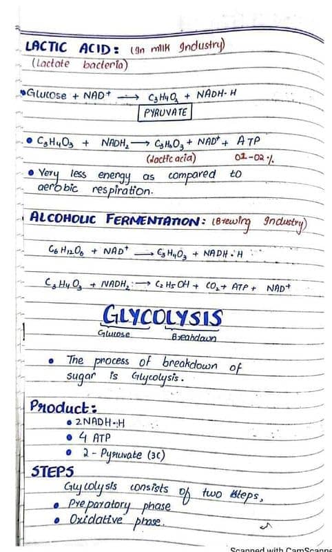 Handwriting and Assignment work 0