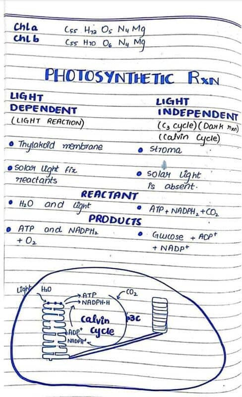 Handwriting and Assignment work 1