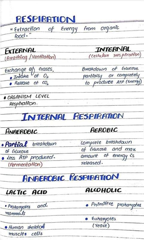 Handwriting and Assignment work 2