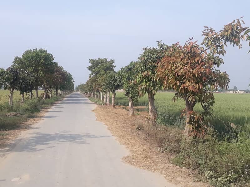 Residential Plot In Farmers Farm Houses Sized 2 Kanal Is Available 2