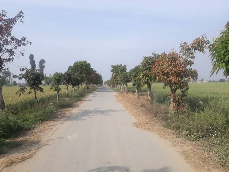 Residential Plot In Farmers Farm Houses Sized 2 Kanal Is Available 4