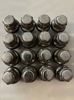 Bottle nut (16 piece)     (MADE IN JAPAN)