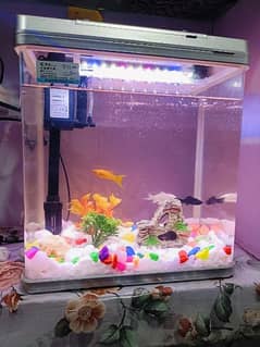 china imported Aquarium for sale