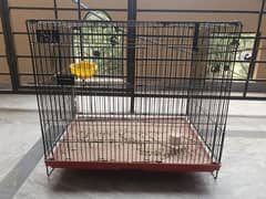 Solid Birds Cage 2 × 1.5 × 1.5