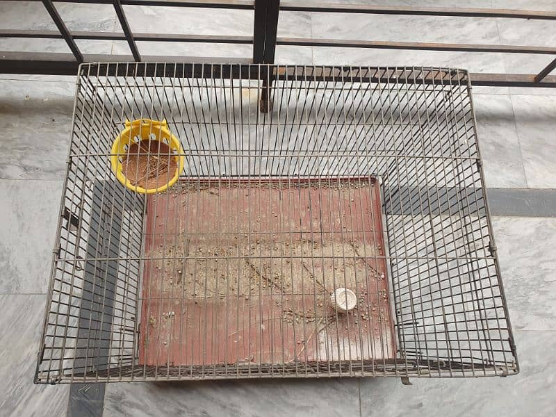 Solid Birds Cage 2 × 1.5 × 1.5 1