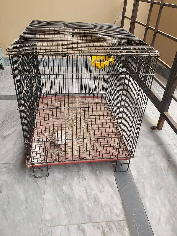 Solid Birds Cage 2 × 1.5 × 1.5 2