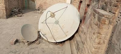 Dish