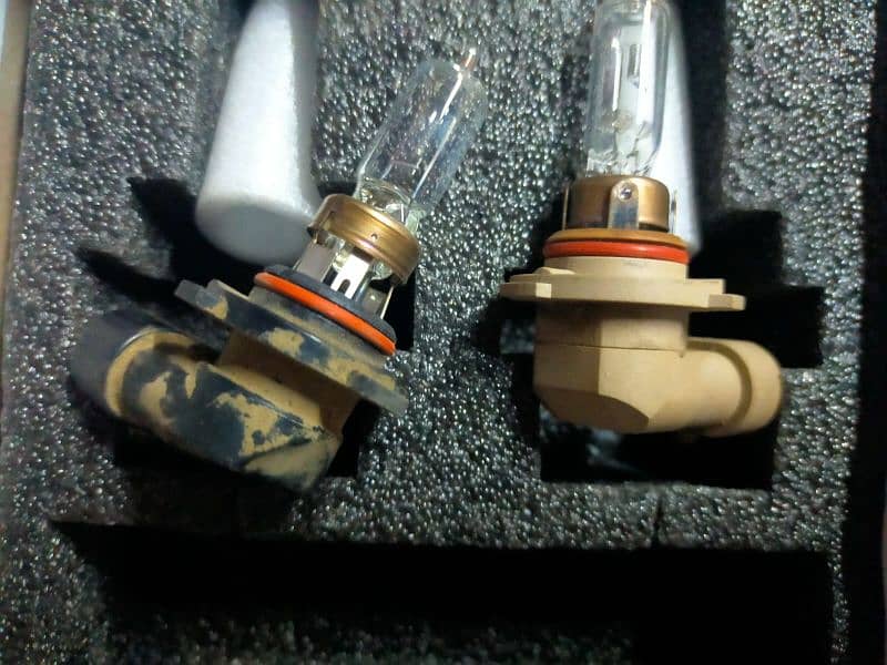 h11 halogens bulb 1