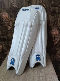 Hard Ball Batting Pads