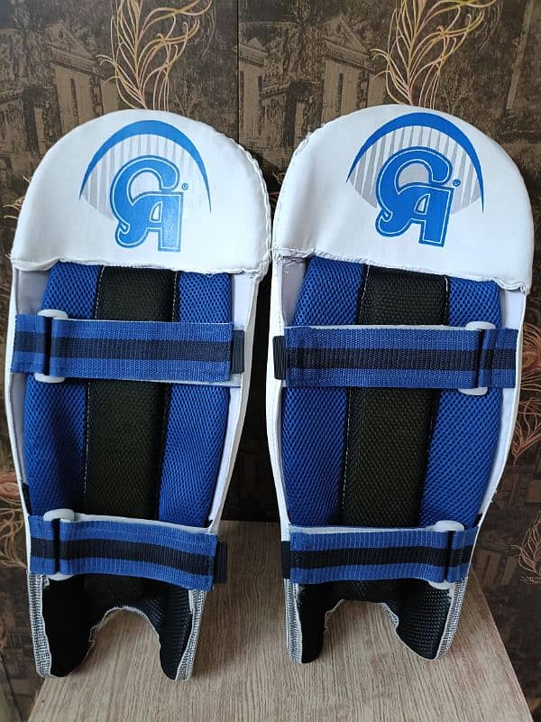 Hard Ball Batting Pads (New) 1