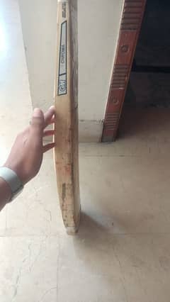 GM Bat good condition and fully ready for hard-hitting