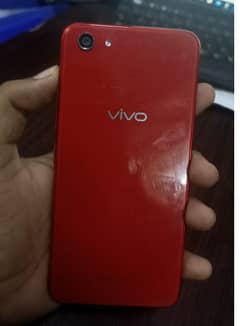 vivo