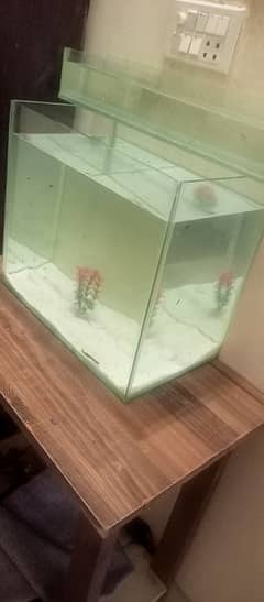 Aquarium for sale