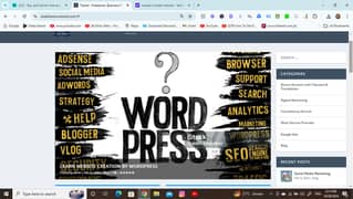 Wordpress Web Developer with Expert SEO Service