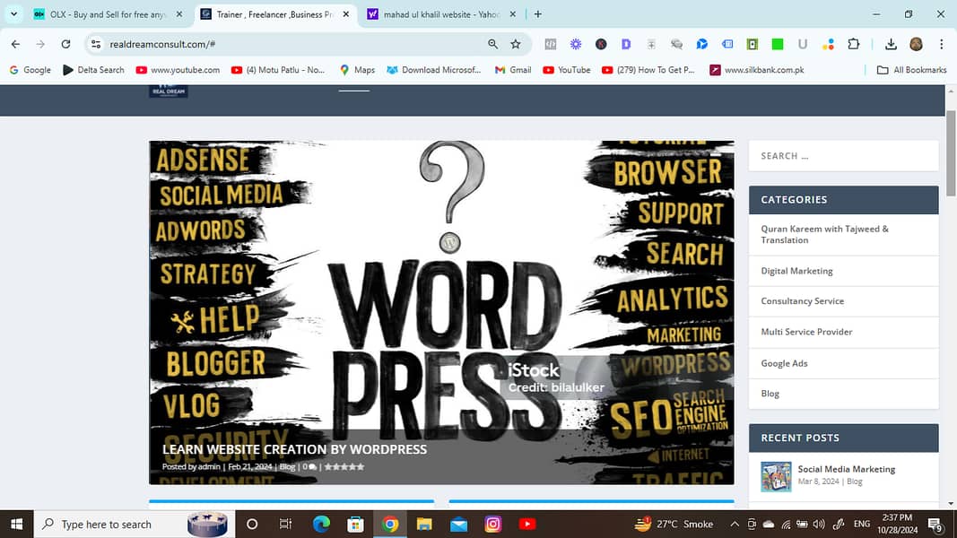 Wordpress Web Developer with Expert SEO Service 0