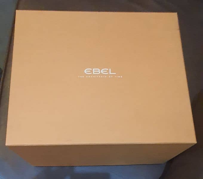 Ebel Brasilia Diamond Watch 4