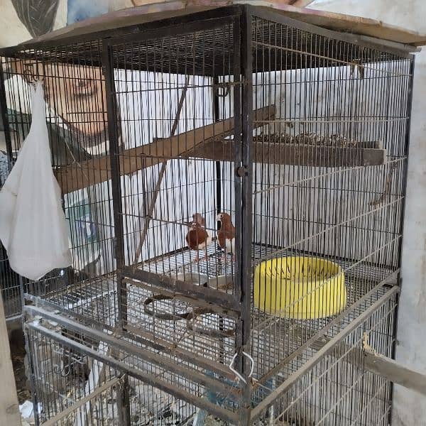 02 portion cage size 2 * 2 * 2-3/4 1