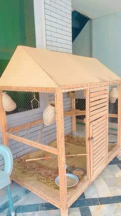 CAGE AND BIRDS FOR SALE