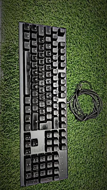 cooler master keyboard ck550 full option RGB 0