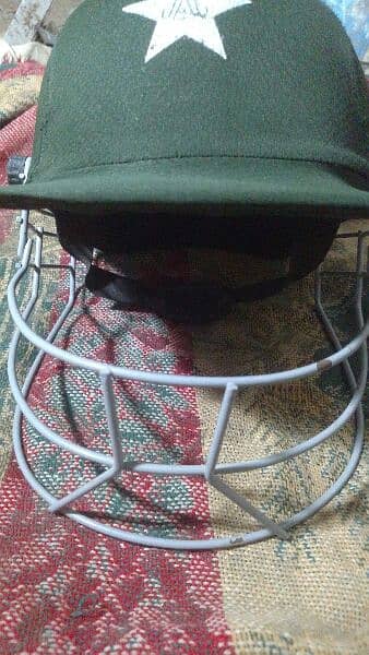 Professional Cricket Helmet 1