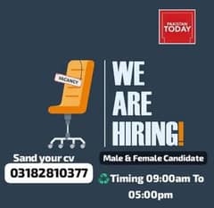 we are hiring male and female