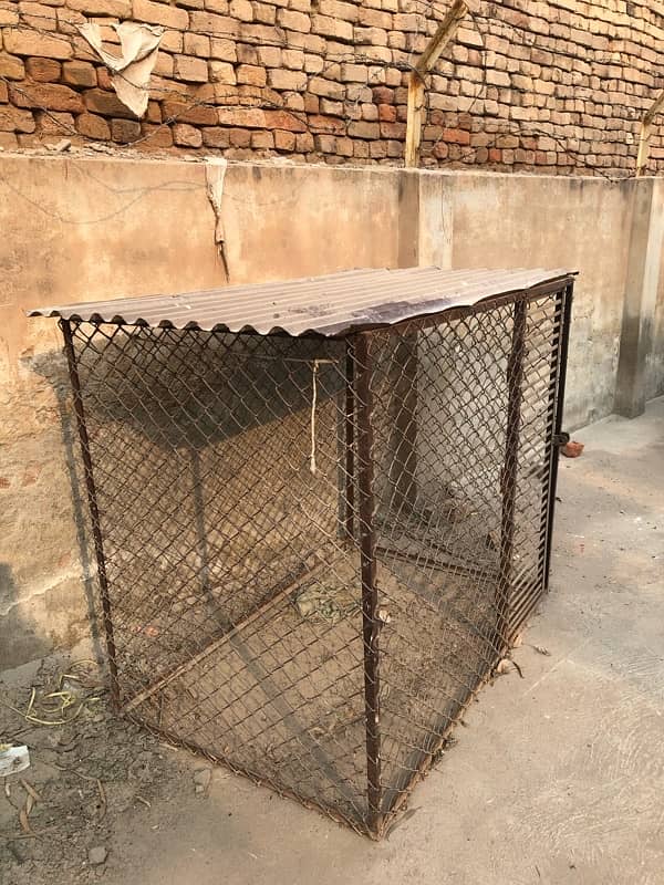 Dog Cage 1