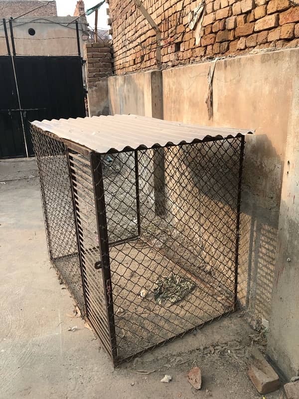 Dog Cage 2