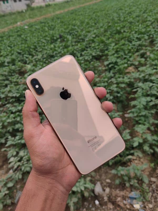 iphone Xs max 256 GB 0