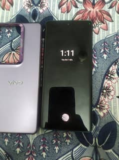 vivo