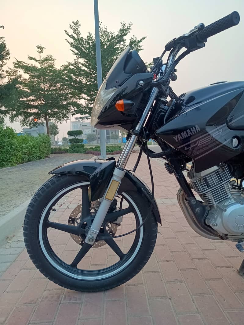 Yamaha YBR 125 7