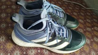 Badminton/ Squash 100% Original Adidas shoes 10/10 condition. 8 number