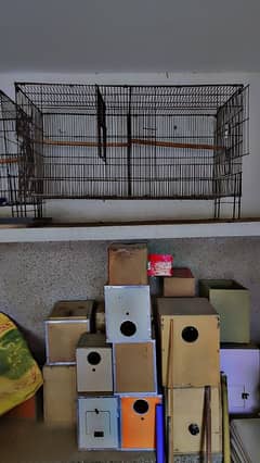 used cages for sale