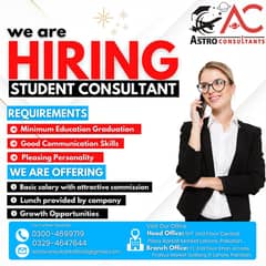 We Are Hiring Student consultant