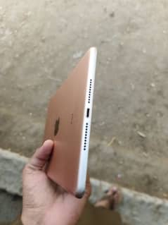 iPad mini 5