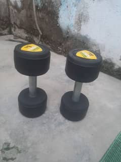 Home Fitness 6 Kg Dumbells pair