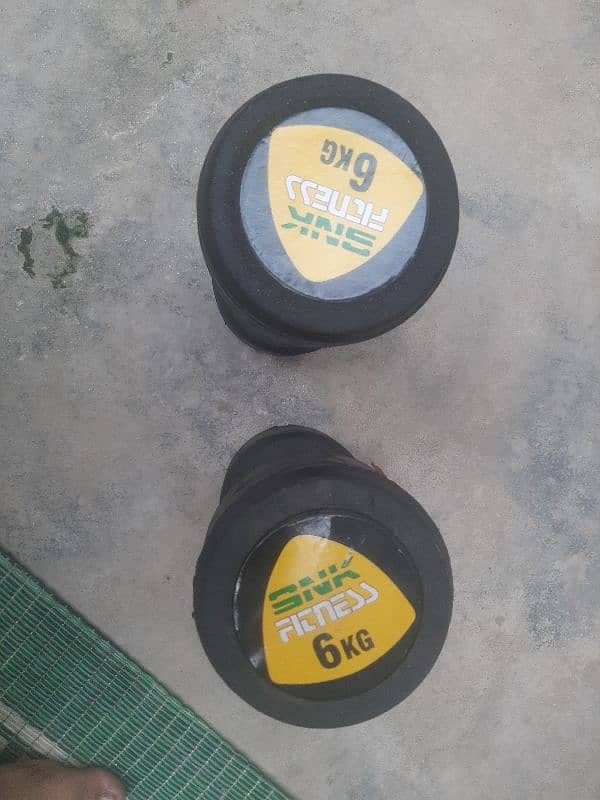 Home Fitness 6 Kg Dumbells pair 1