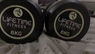 Dumbells 6kg pair