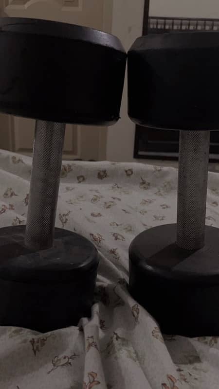 Dumbells 6kg pair 3