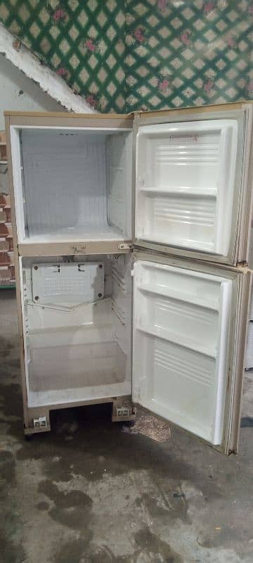 pel refrigerator 1