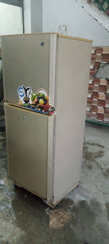 pel refrigerator 2